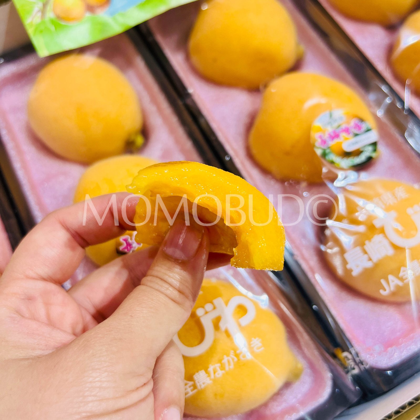 Jumbo Japanese Amaka Biwa (Loquat, 280g punnet) - Image 8