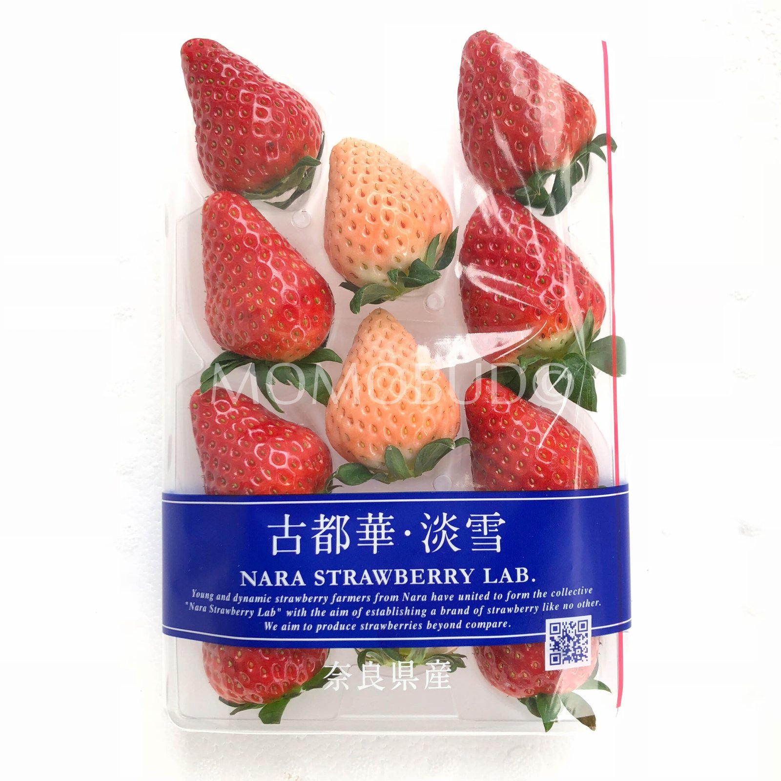 Japanese Nara Strawberry Lab (Awayuki | Kotoka) - Image 4