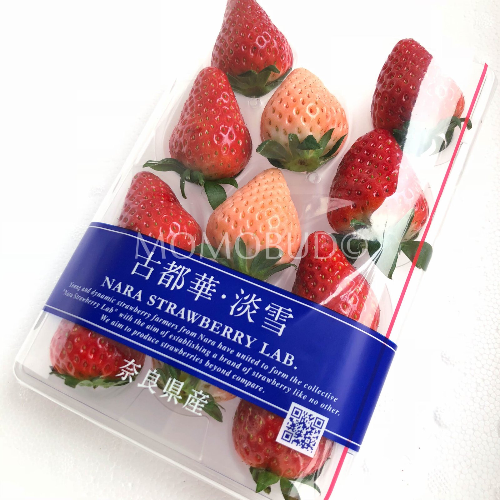 Japanese Nara Strawberry Lab (Awayuki | Kotoka) - Image 3
