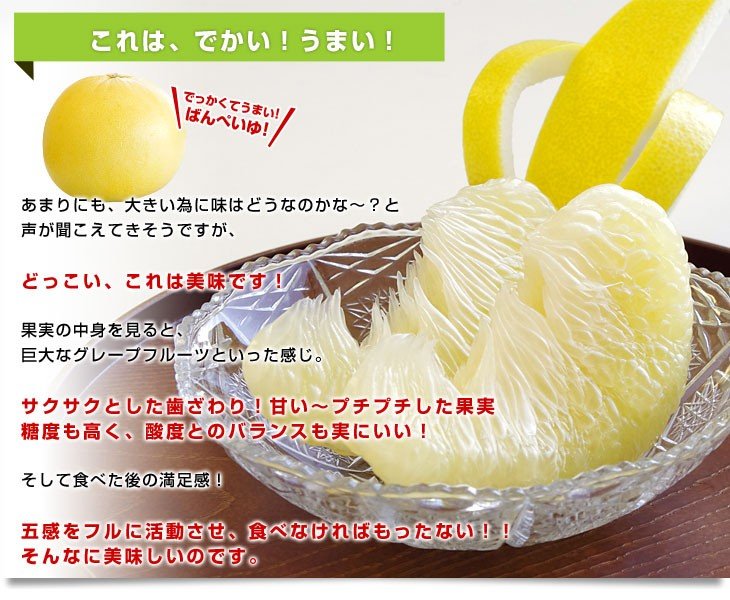 Japanese Kumamoto Banpeiyu (Pomelo, Medium) - Image 6