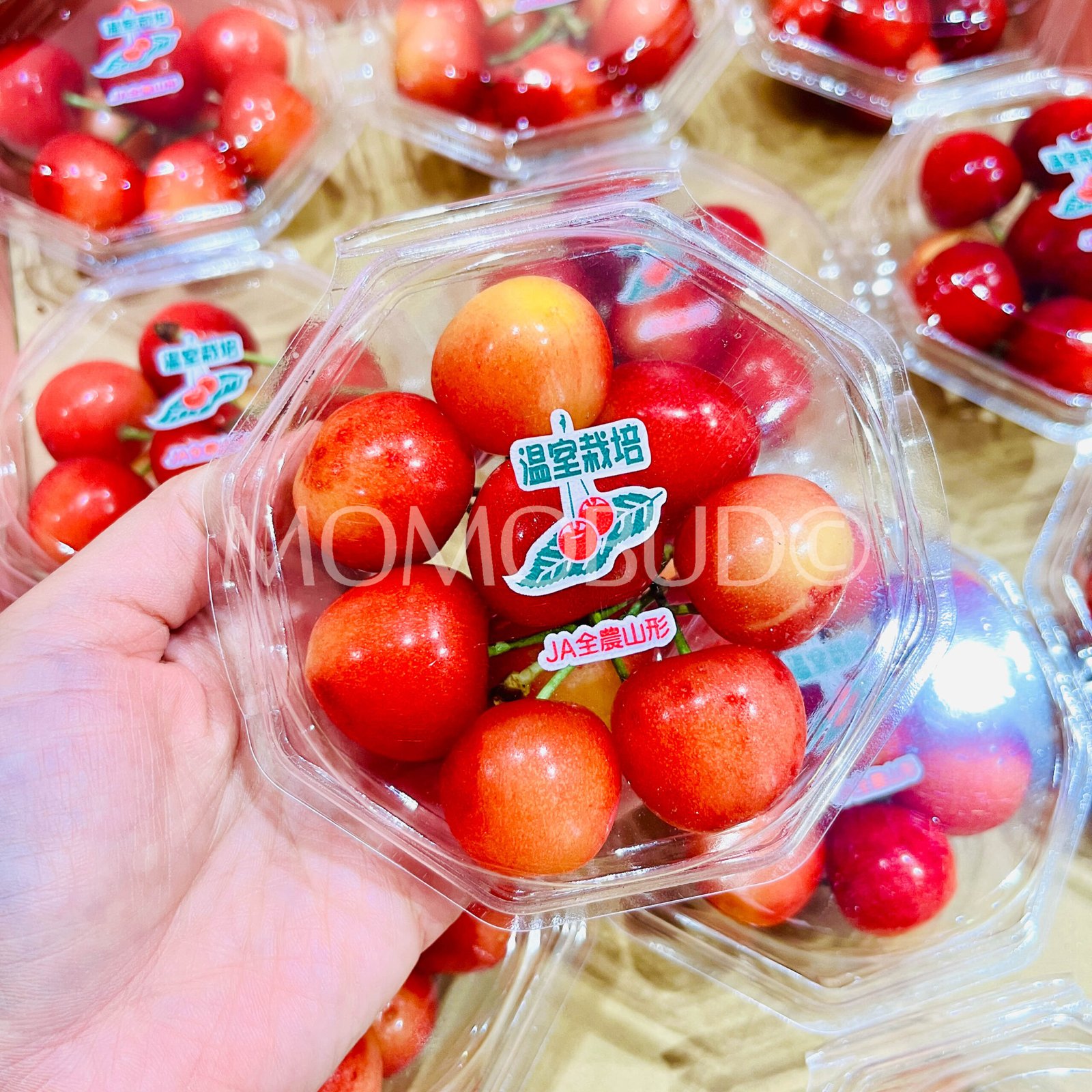 Japanese Beni Shuho Sakuranbo (Cherry, 100g punnet) - Image 3