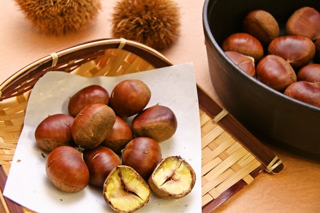 Japanese Ibaraki Chestnut (470g bag) - Image 6