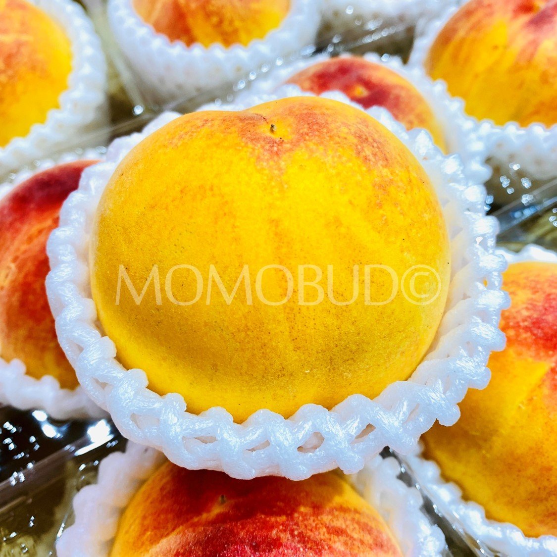 Japanese Yamanashi Outdoor Chiyomaru Golden Peach (300g, 2pcs/punnet) - Image 2