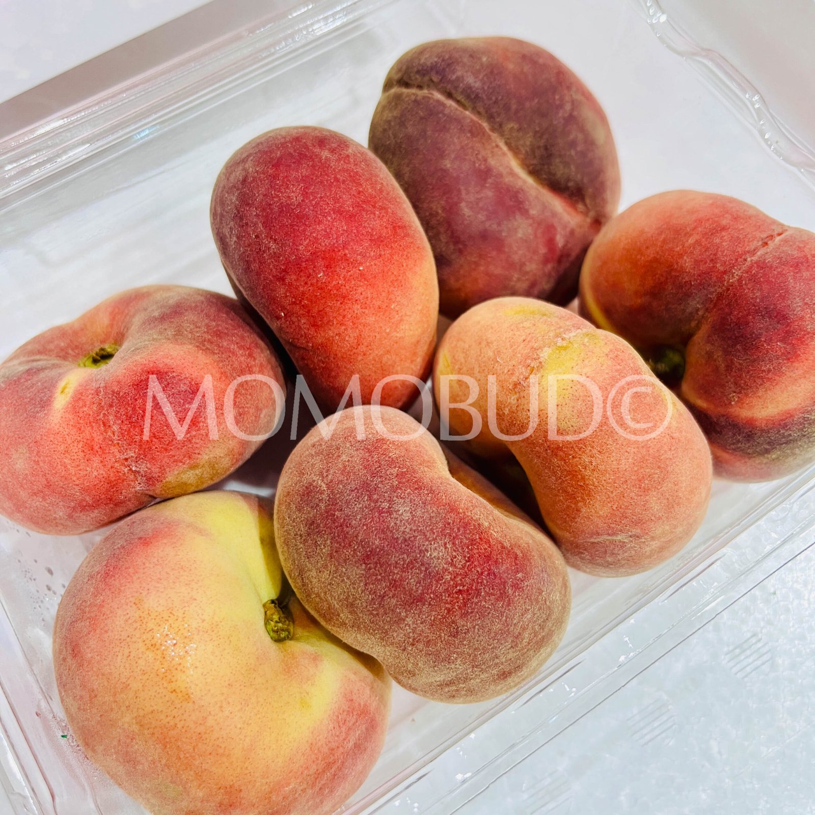 Australian Crown Koala Flat Donut Peach (500g punnet, 7pcs) - Image 2