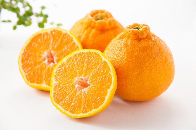 Japanese Daimasaki Orange - Image 5