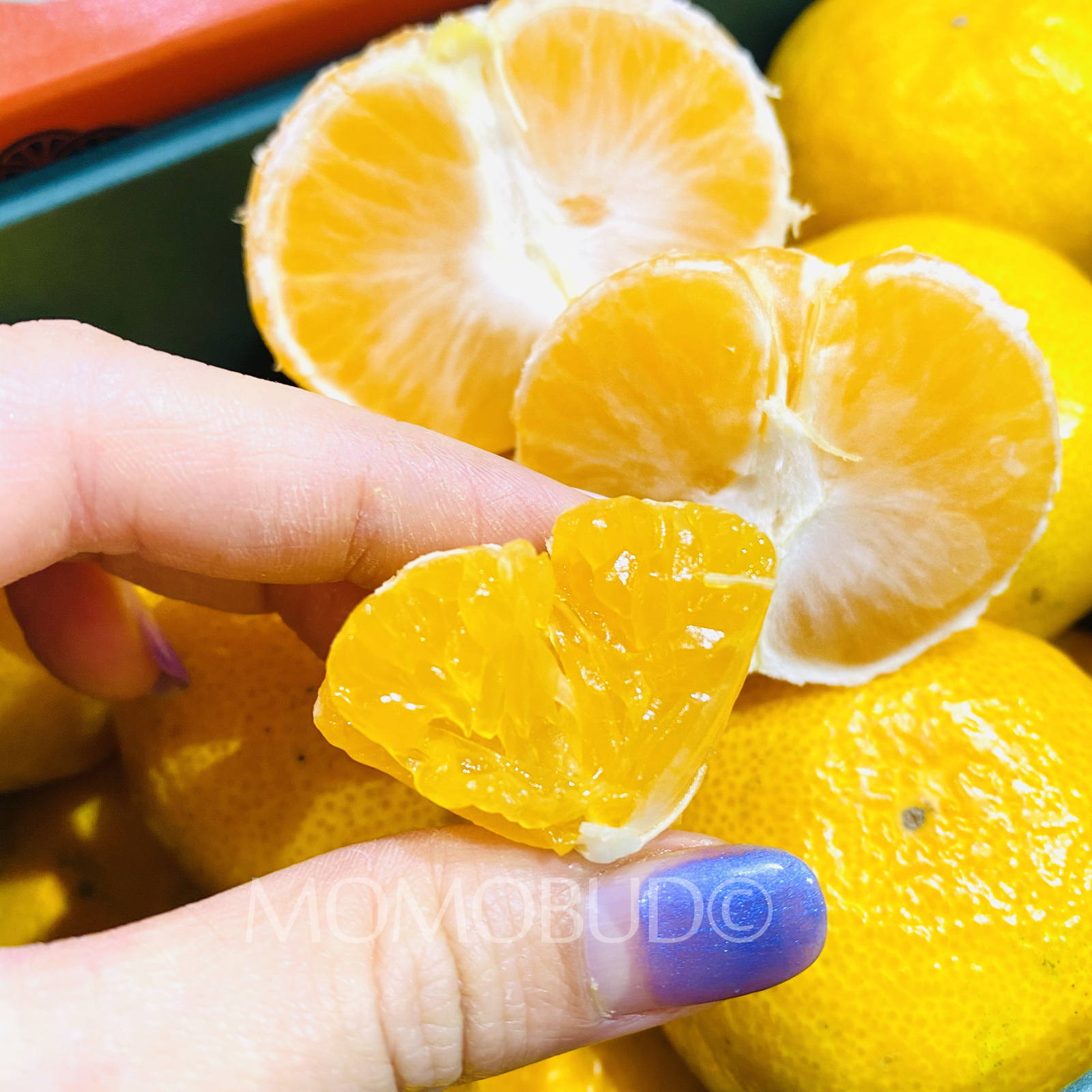 Japanese Ehime Mican Mikan (Mandarin Orange) Gift Box (1.2kg) - Image 4