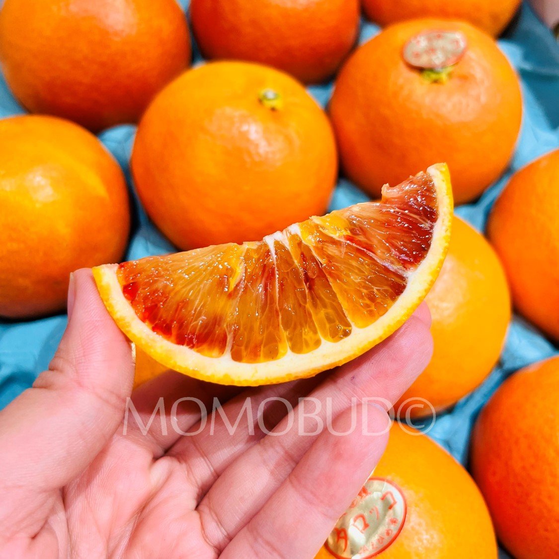 Japanese Ehime Tarokko Blood Orange Gift Box (3kg) - Image 5