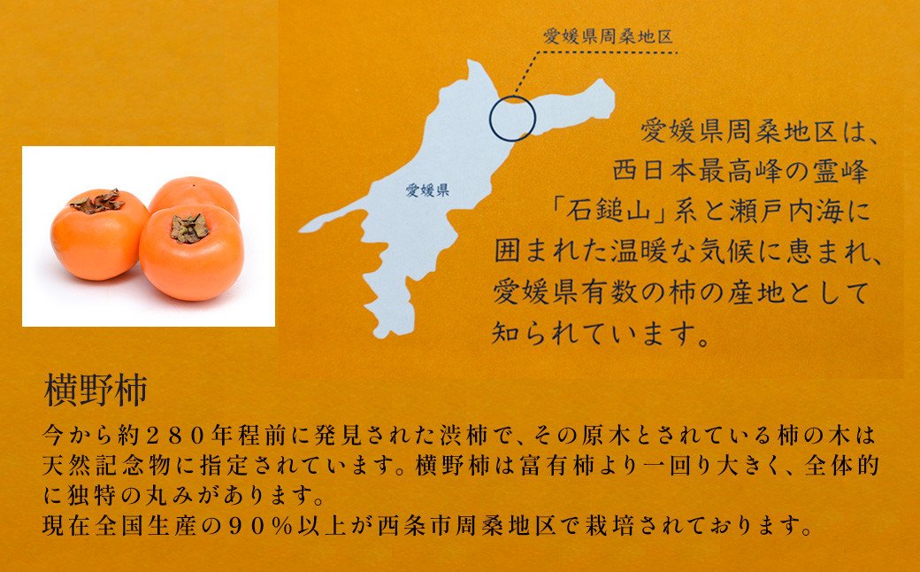 Premium Selection Japanese Yokono Anpogaki (Half-Dried Persimmon, 90g pack) - Image 4