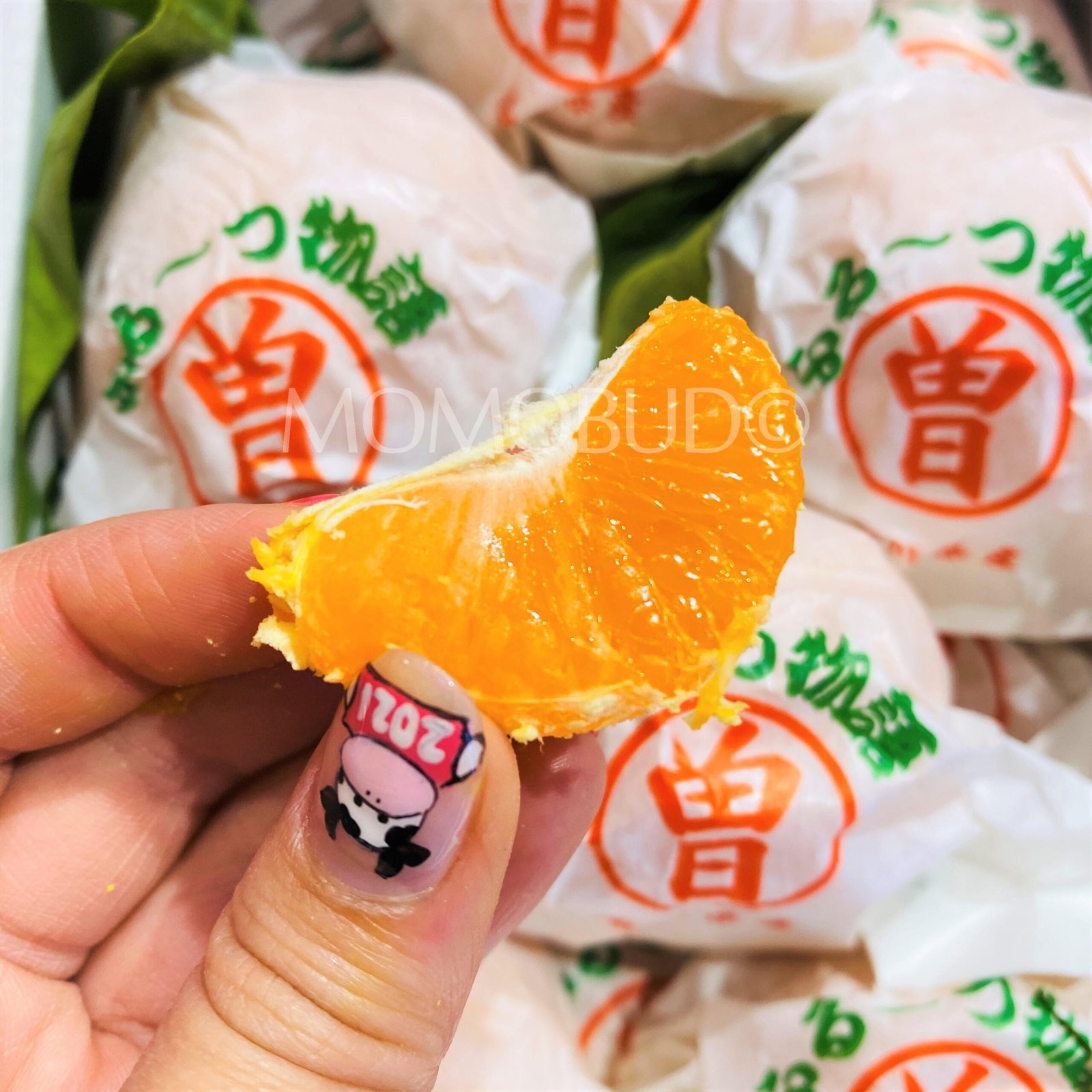 Japanese Fruit Monogatari Winter Mikan (Mandarin Orange, 1kg approx) - Image 2