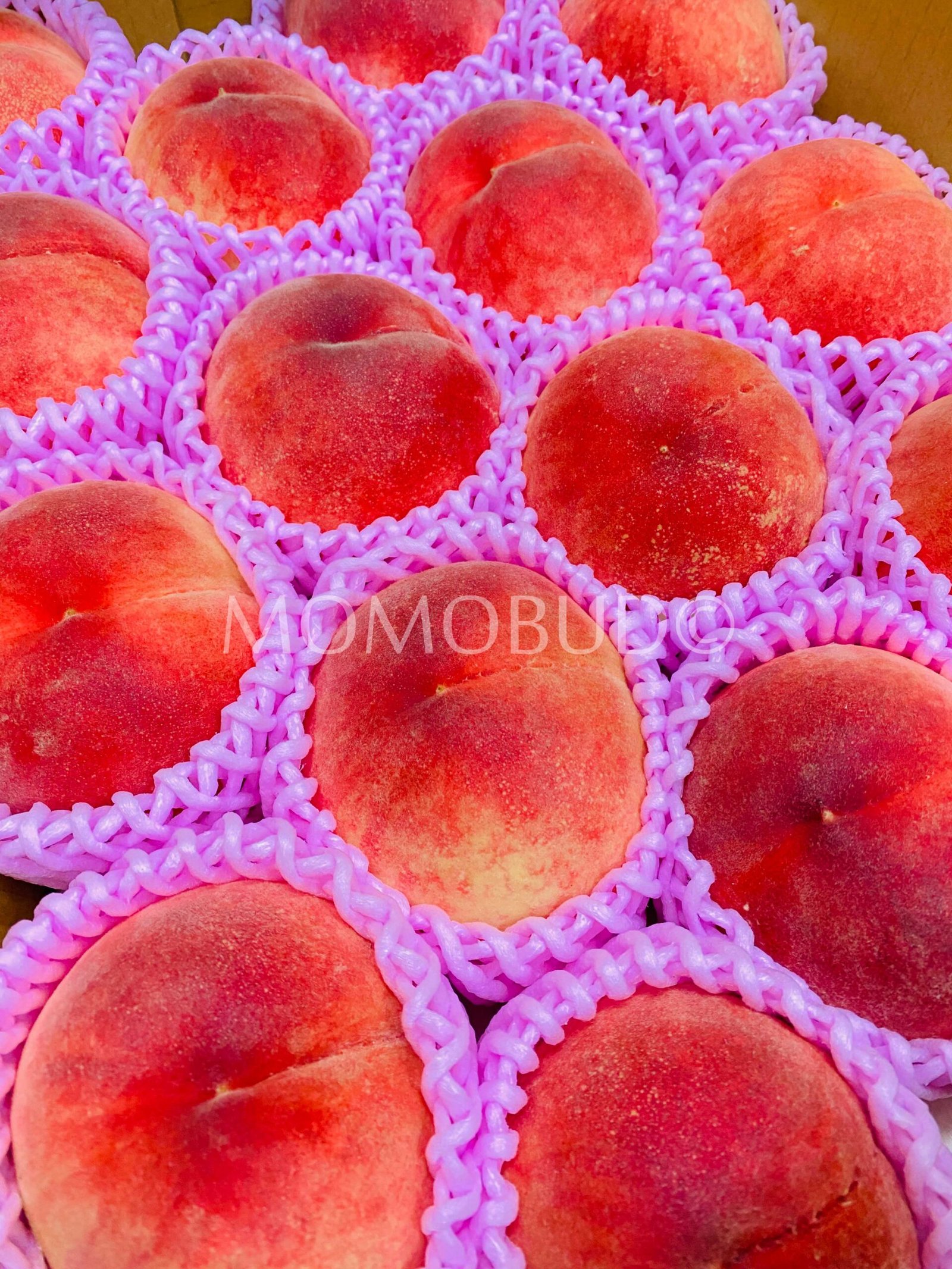 Japanese Fuefuki Hanayome White Peach (Medium-Plus) - Image 2