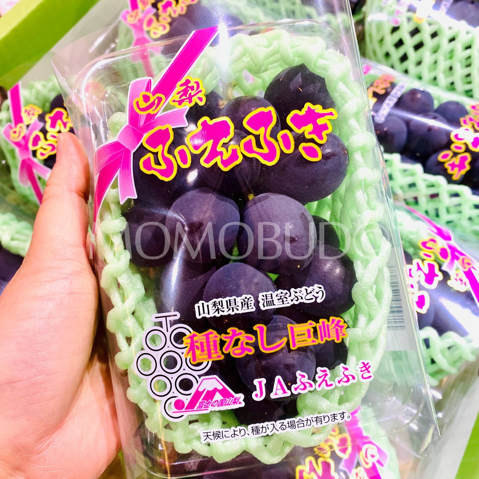 Japanese Fuefuki Kyoho Seedless Grapes (350g punnet) - Image 2