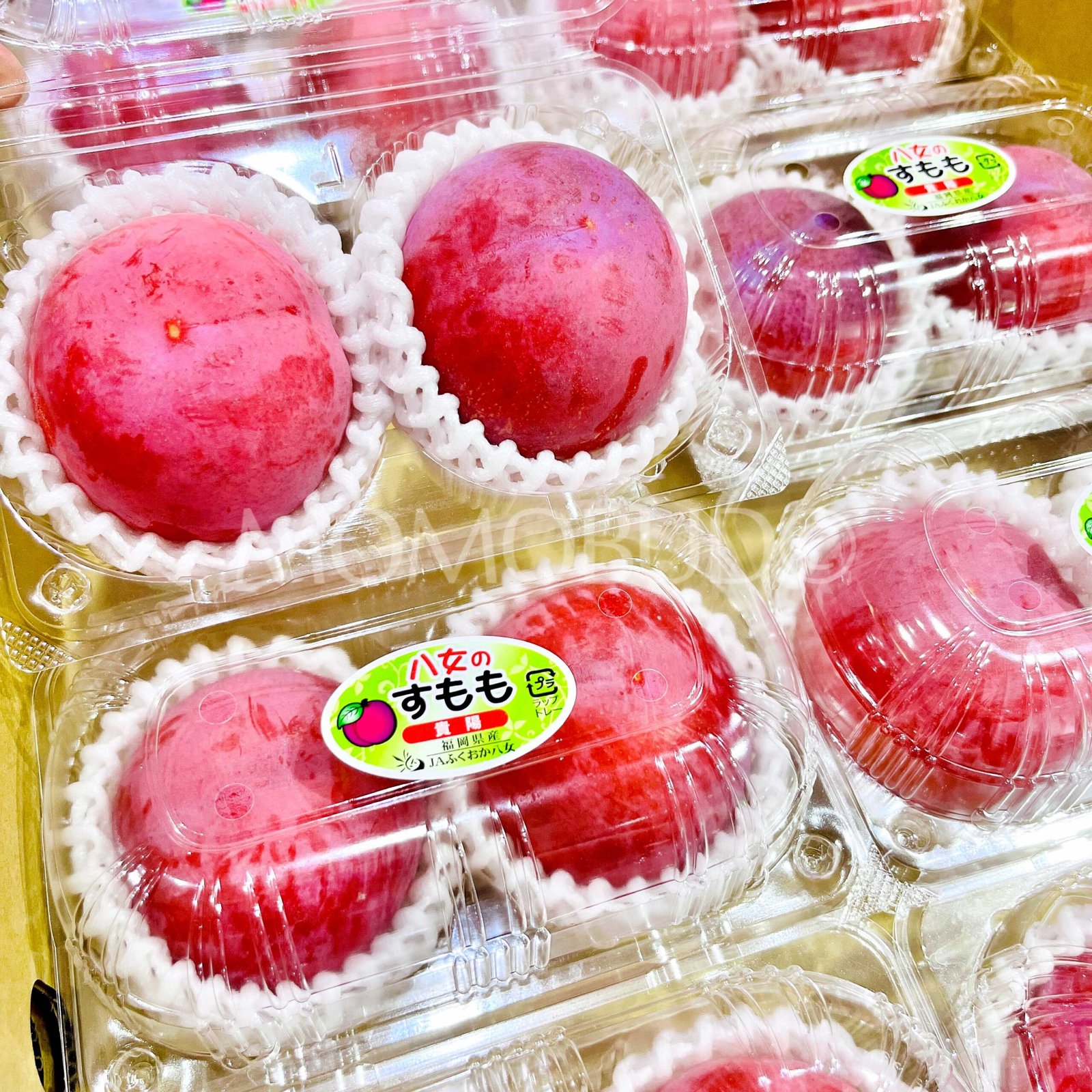 Japanese Yame Kiyou Plum (400g approx, 2pcs punnet) - Image 3