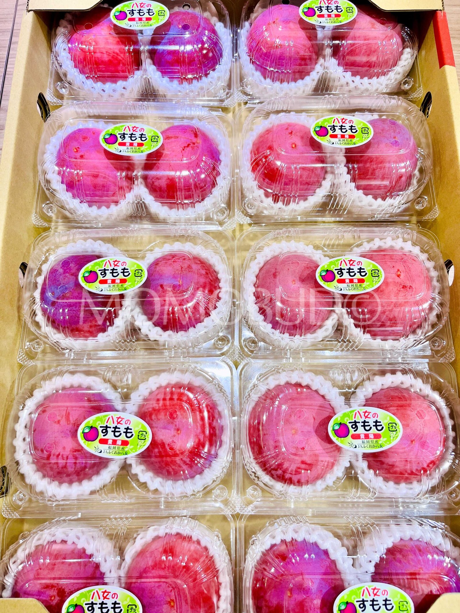 Japanese Yame Kiyou Plum (400g approx, 2pcs punnet) - Image 2