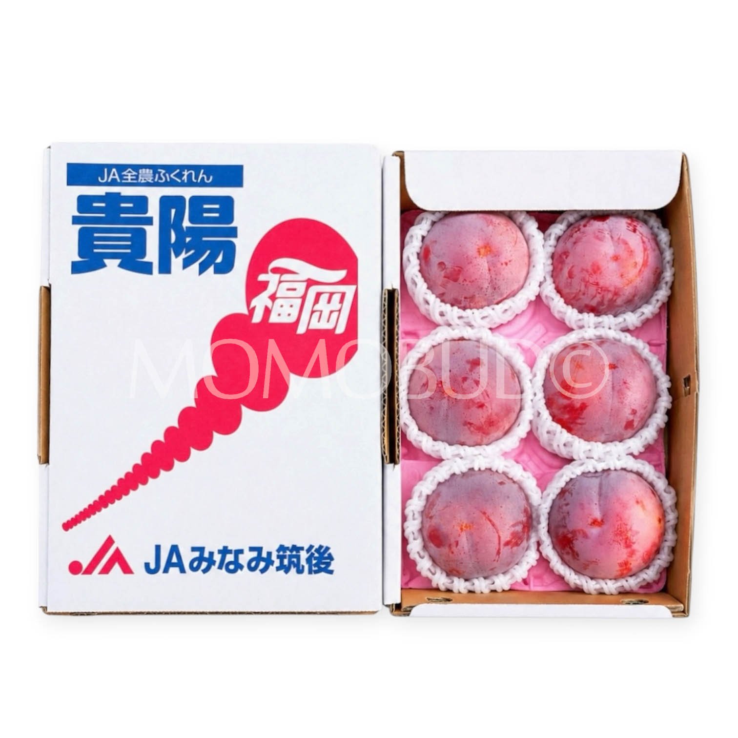 Japanese Fukuoka Kiyou Plum Gift Box (1kg)
