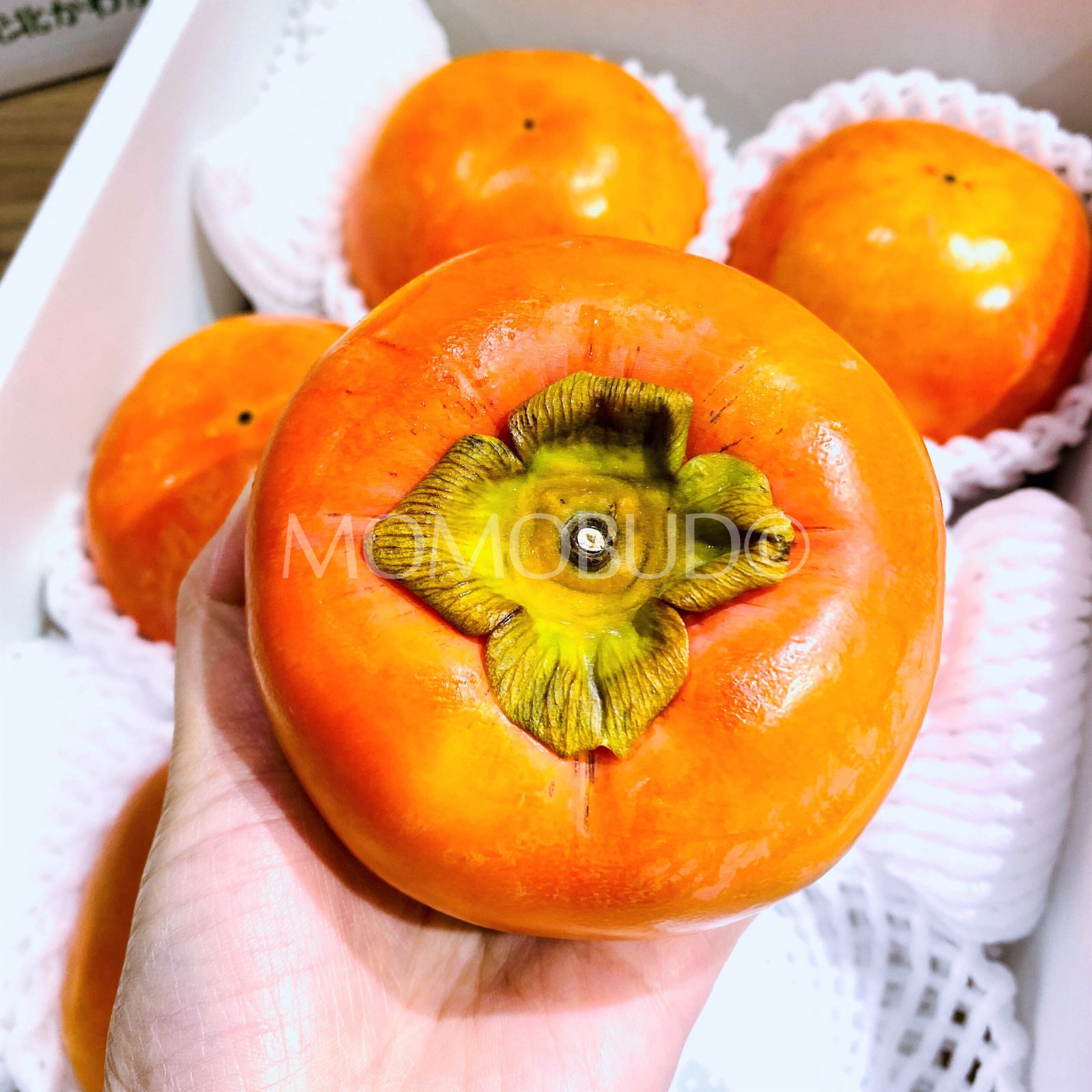 *50% OFF* Japanese Large Fuyu Persimmon Gift Box (Ripe & Jelly Soft, 2kg) - Image 2