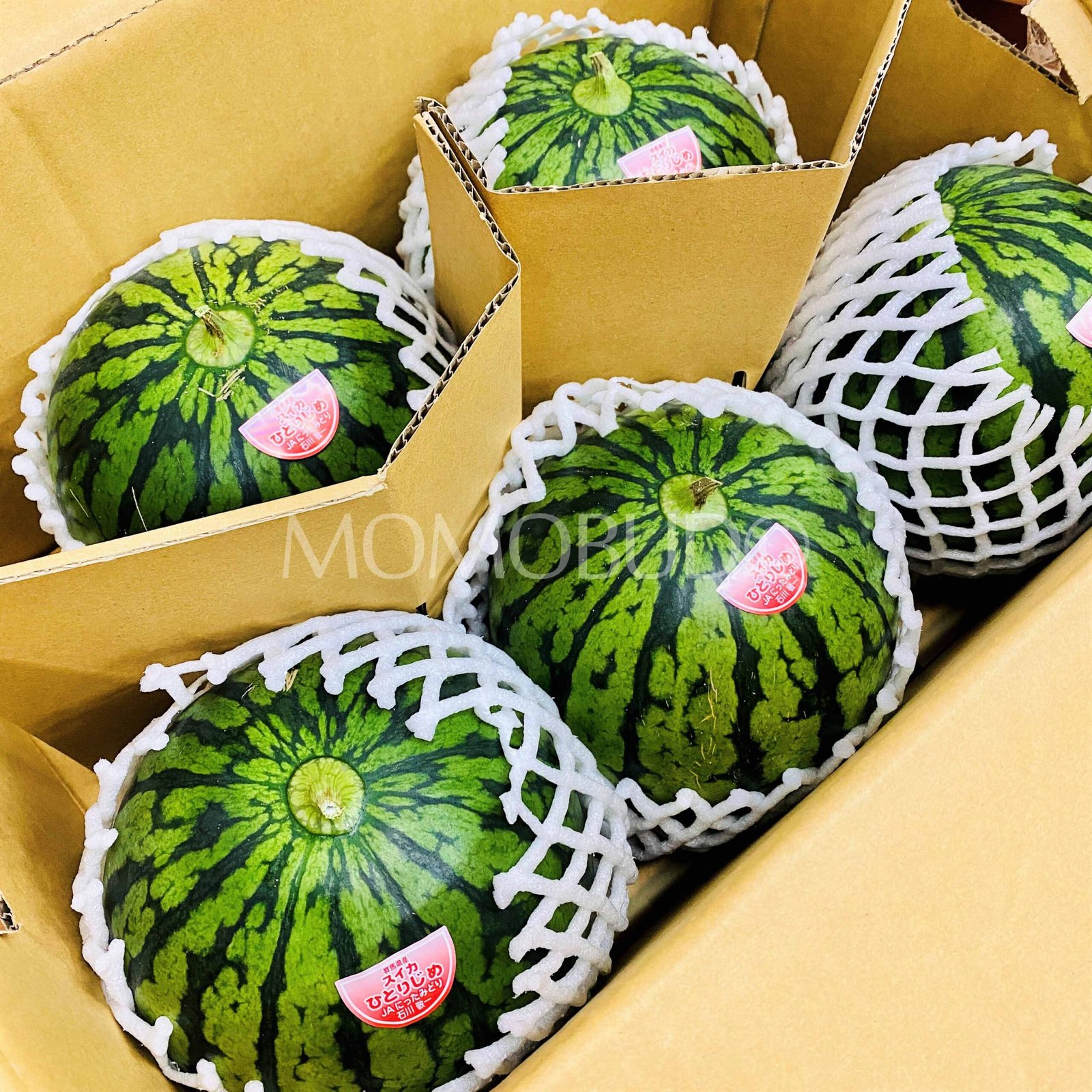 Japanese Gunma Hitorijime Watermelon - Image 2