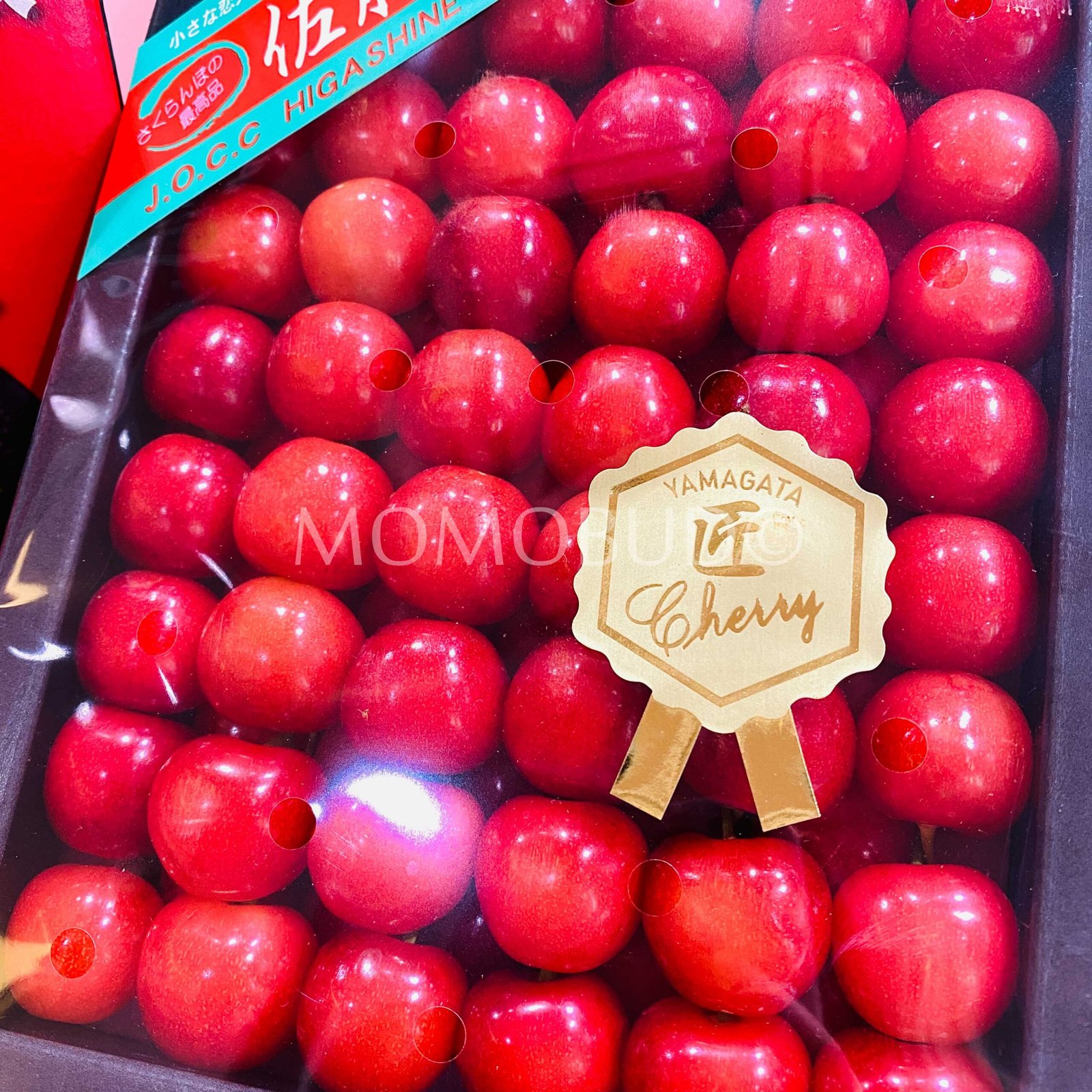 Japanese Sato Nishiki Sakurabon (Cherry) Gift Box (Tokushu Grade, 500g) - Image 3