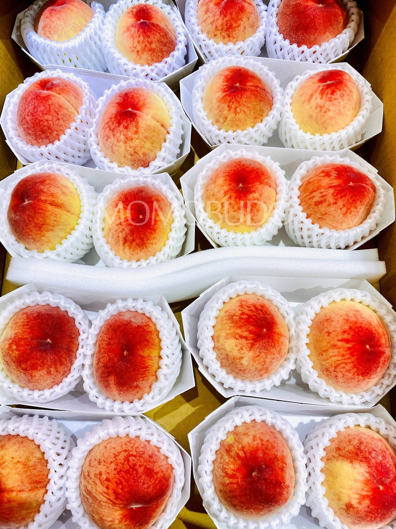 Japanese Yamanashi House Hikawa Hakuhou White Peach (2pcs/punnet, 300g) - Image 2