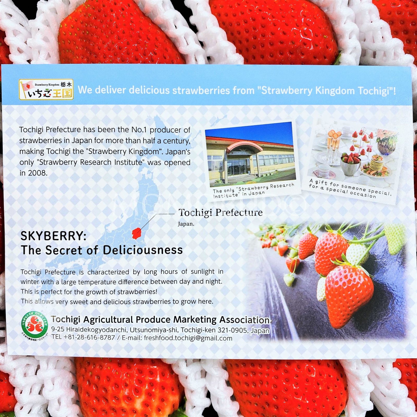 Japanese Hinata Skyberry Ichigo Gift Set (500g) - Image 7