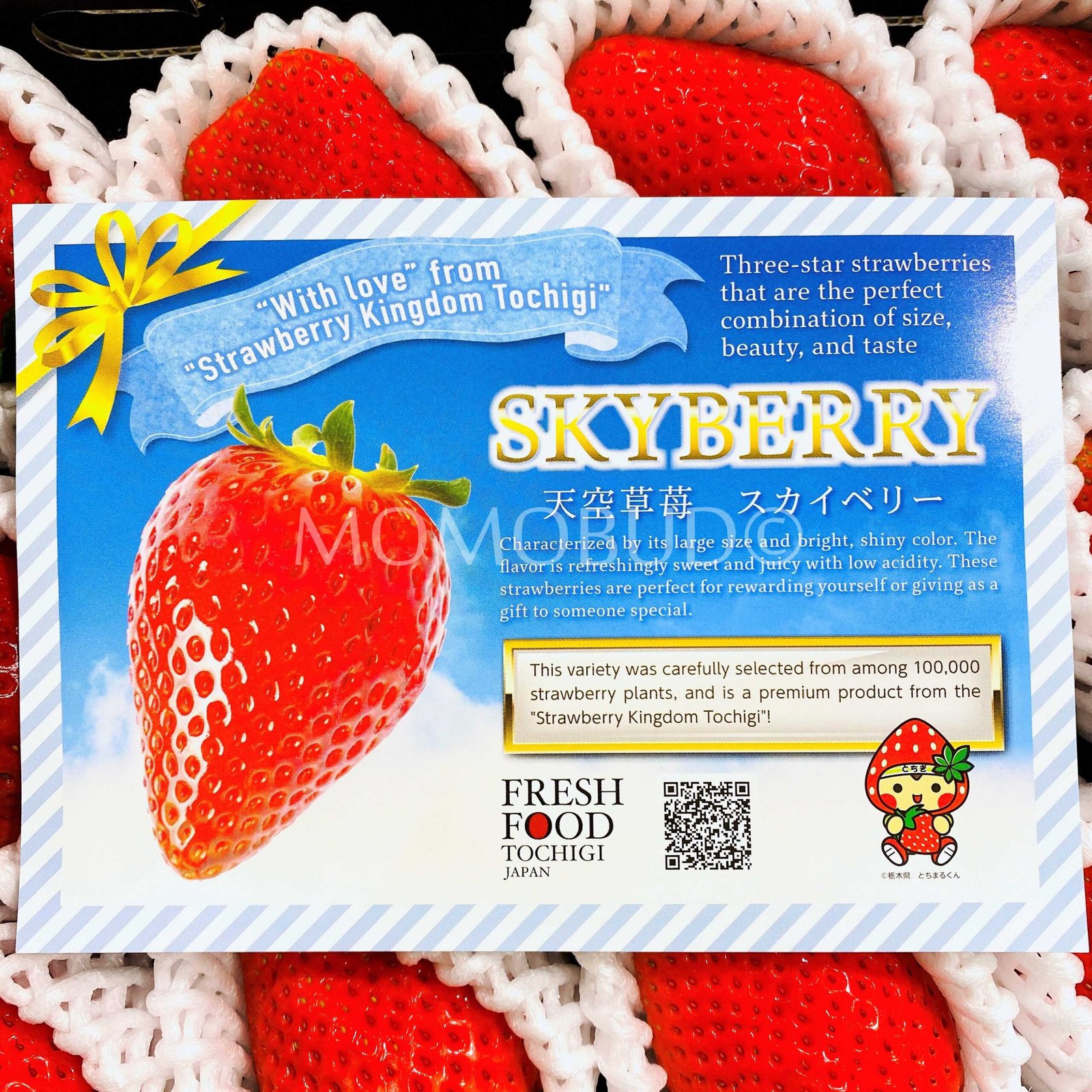 Japanese Hinata Skyberry Ichigo Gift Set (500g) - Image 6