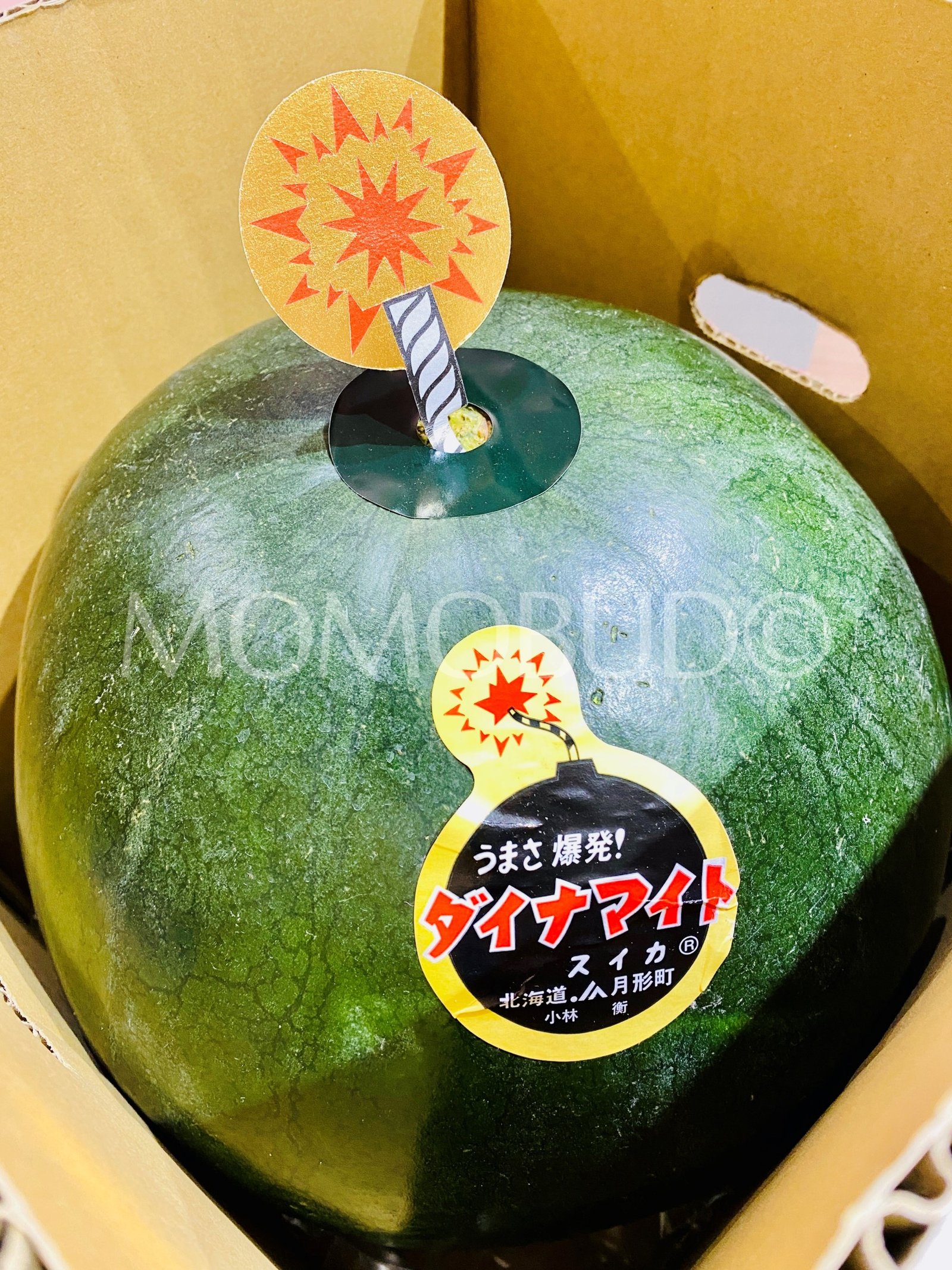 Japanese Hokkaido Dynamite Watermelon Gift Box - Image 3