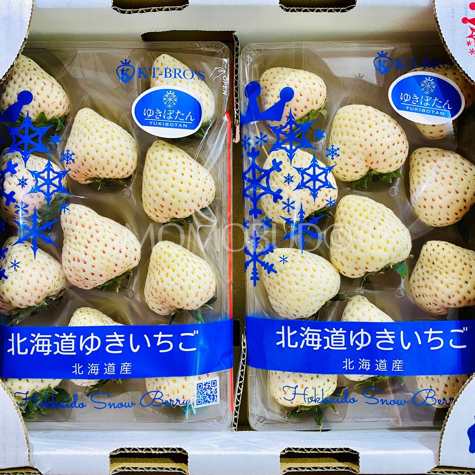 Japanese Hokkaido Yukibotan White Ichigo (Strawberry) - Image 2
