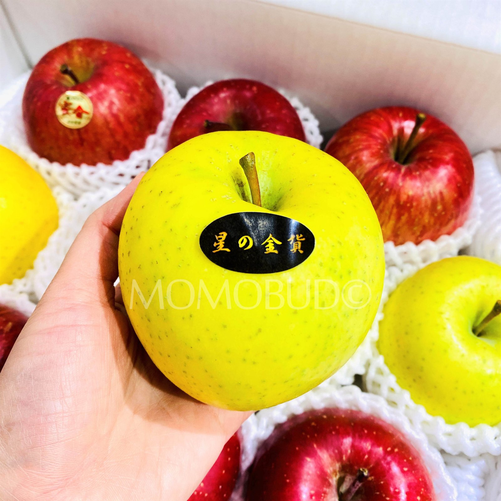 Japanese Premium Mitsuka Apple - Image 4