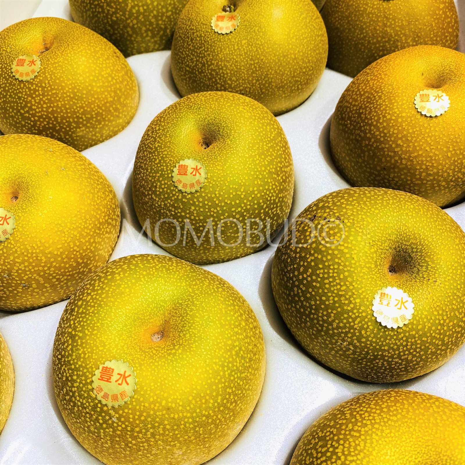 Japanese Hosui Pear - Image 2