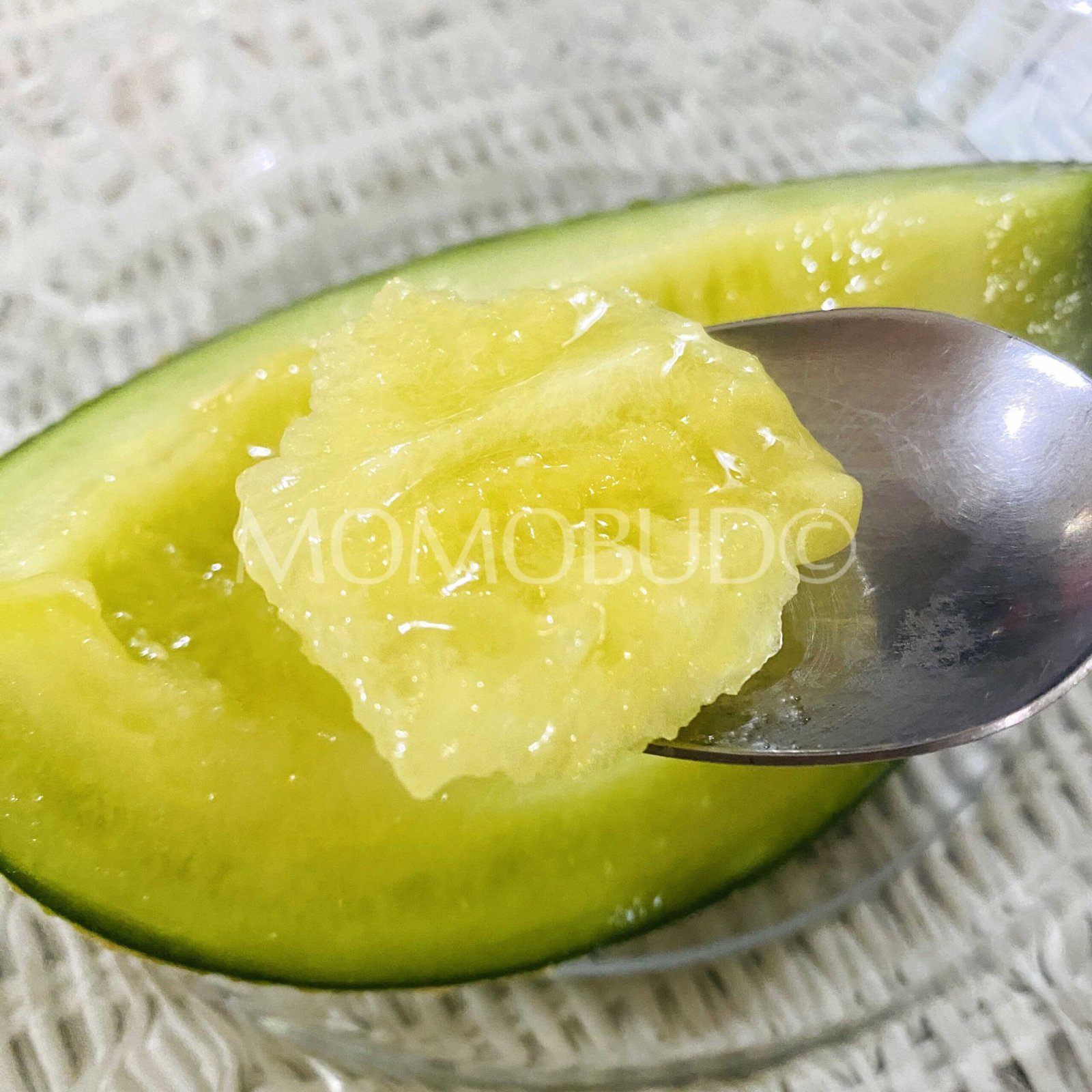 Japanese Ibara King Green Melon (Small-Plus) - Image 7