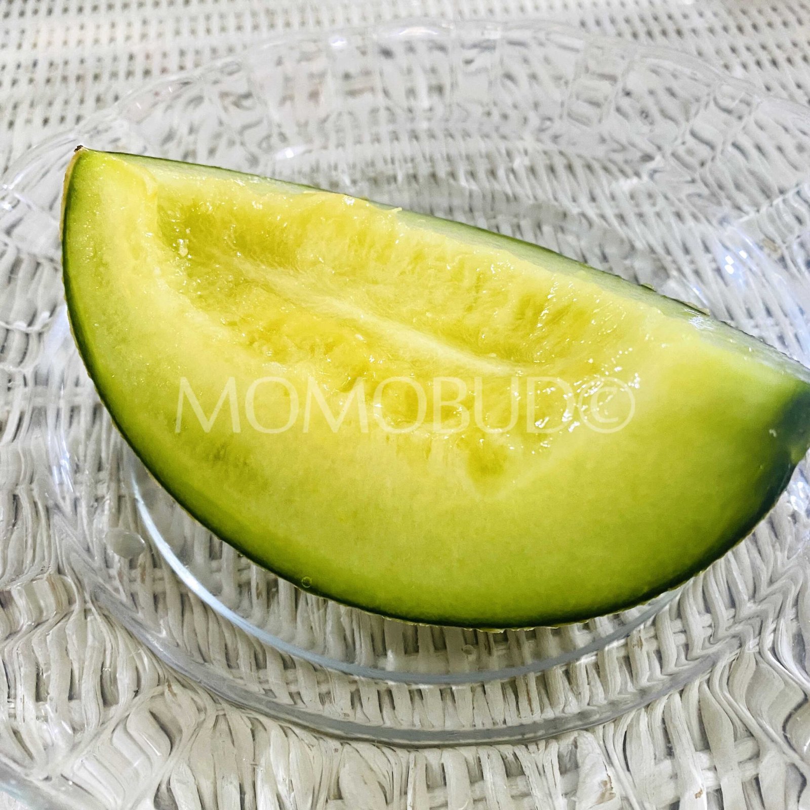 Japanese Ibara King Green Melon (Small-Plus) - Image 6