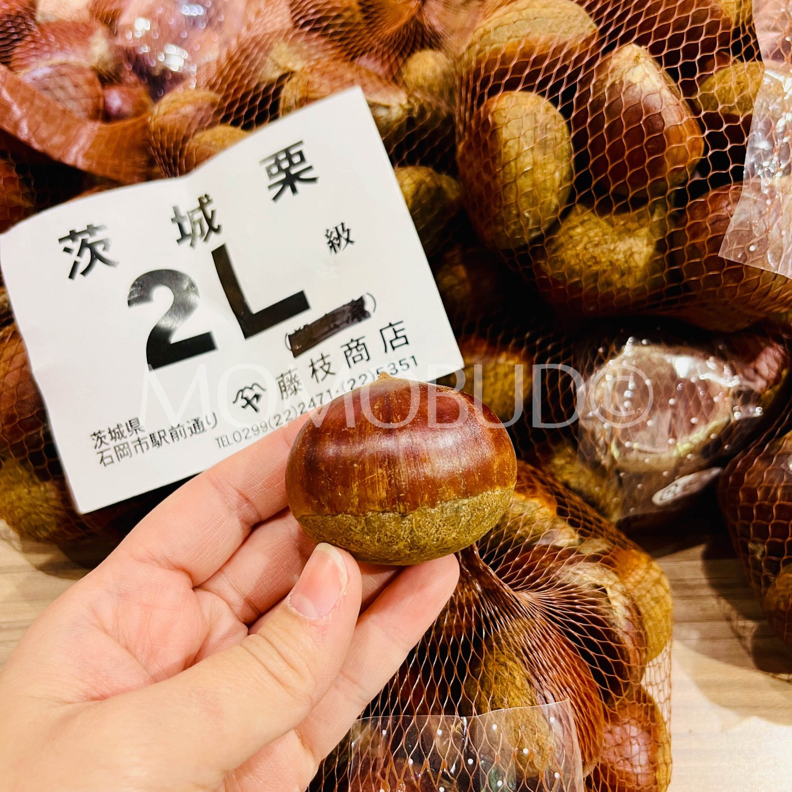 Japanese Ibaraki Chestnut (470g bag) - Image 5