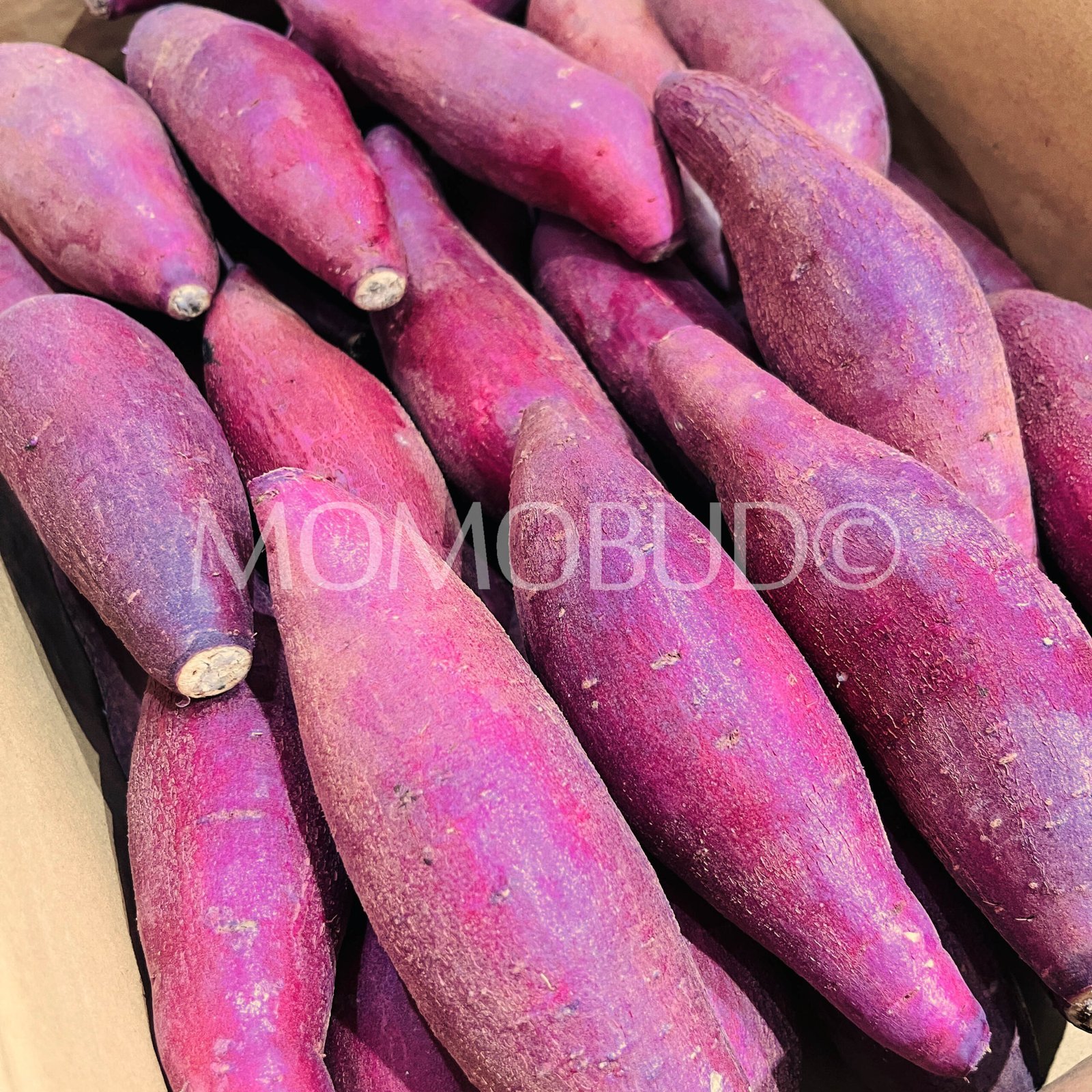 Japanese Beni Haruka Satsumaimo (Sweet Potato) - Image 2