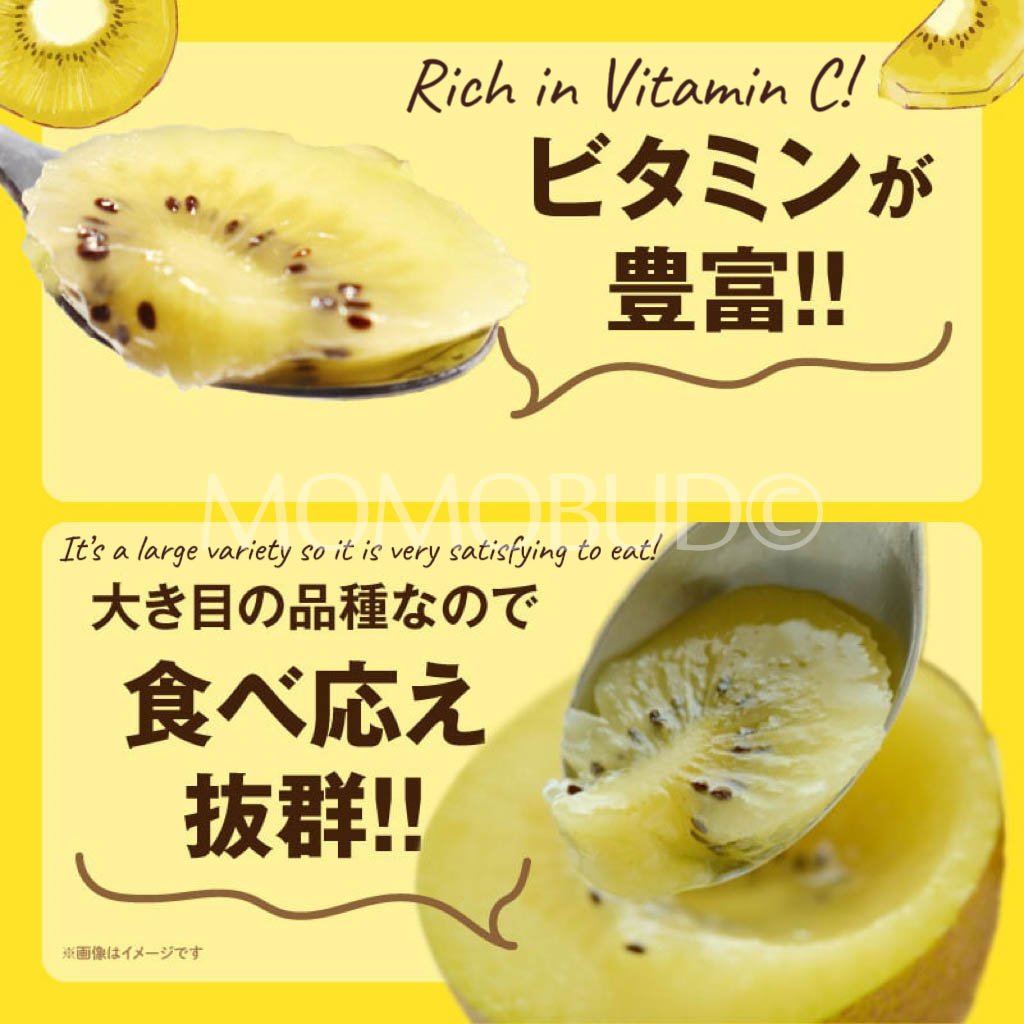 Japanese Jumbo Sanuki Gold Kiwi (1pc, 200g box) - Image 7