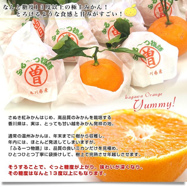 Japanese Fruit Monogatari Winter Mikan (Mandarin Orange, 1kg approx) - Image 4