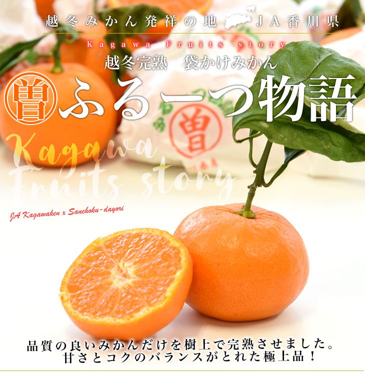 Japanese Fruit Monogatari Winter Mikan (Mandarin Orange, 1kg approx) - Image 3