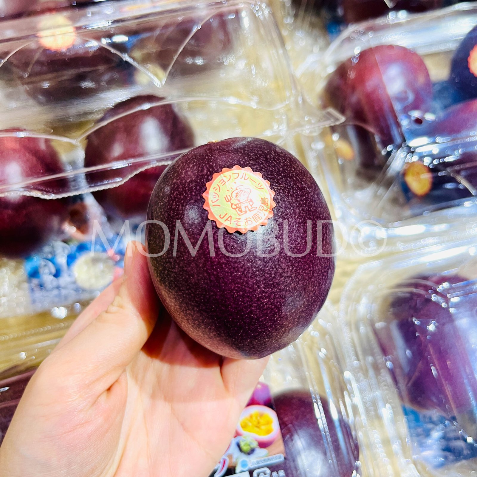 Japanese Kagoshima Passionfruit (300g punnet) - Image 4