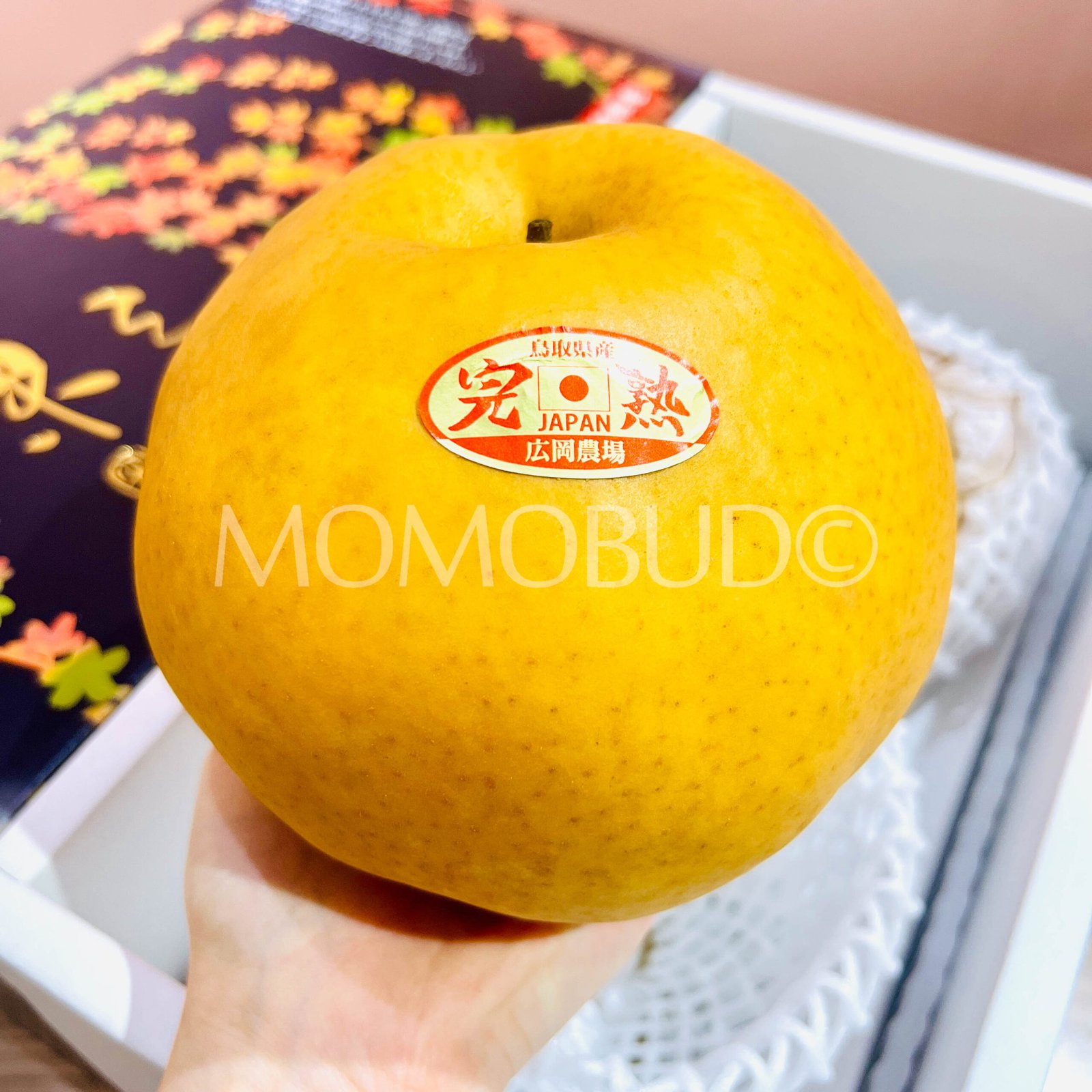 Japanese Kanjuku Atago Nashi Pear Gift Box (2kg) - Image 3