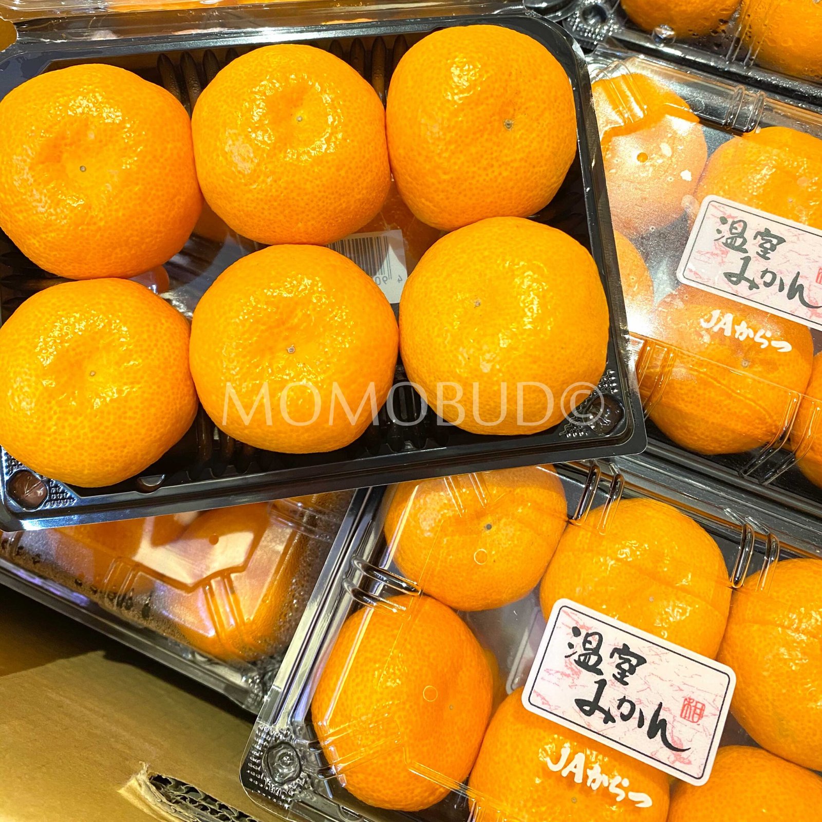 Japanese Karatsu Onshitsu Mikan Pack (270g) - Image 3