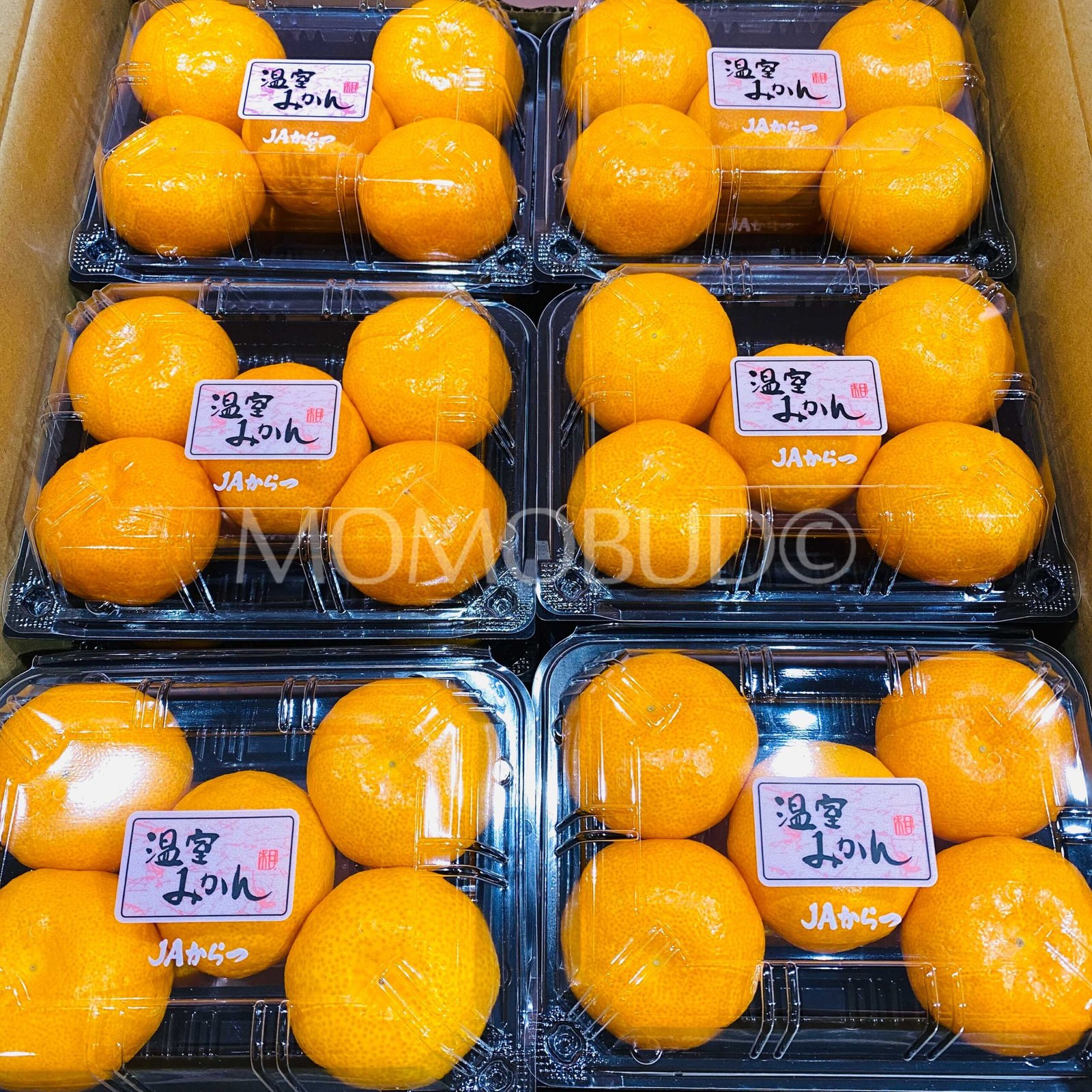 Japanese Karatsu Onshitsu Mikan Pack (270g) - Image 2