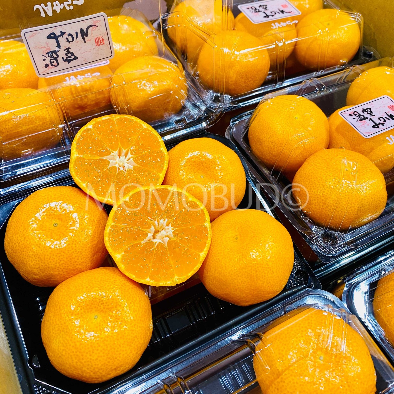 Japanese Karatsu Onshitsu Mikan Pack (270g) - Image 4