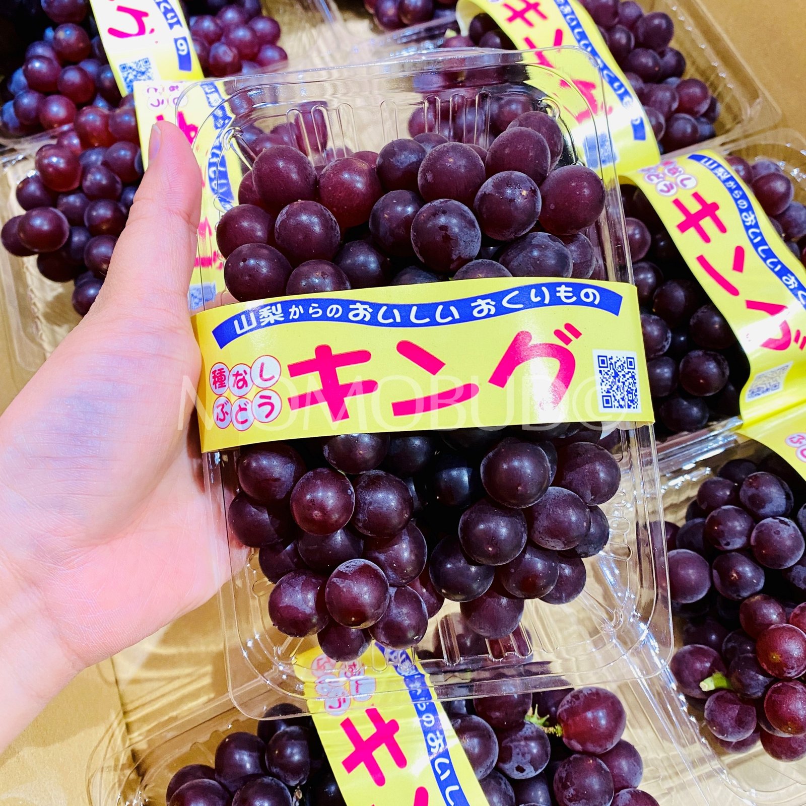 Japanese King Delaware (Champagne) Grapes Pack (2 bunches, 400g approx) - Image 2