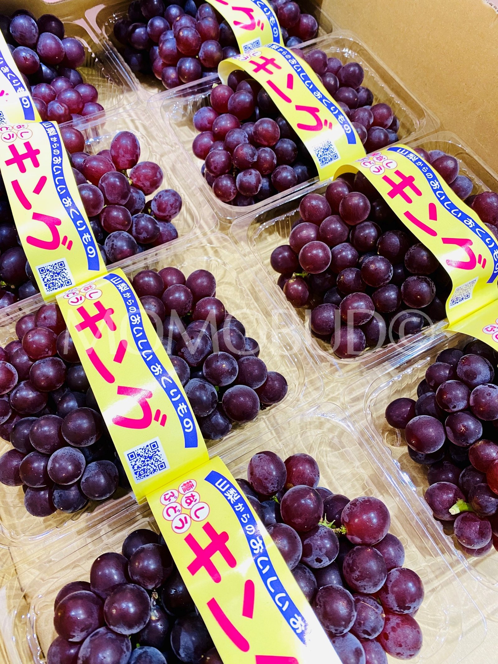 Japanese King Delaware (Champagne) Grapes Pack (2 bunches, 400g approx) - Image 4