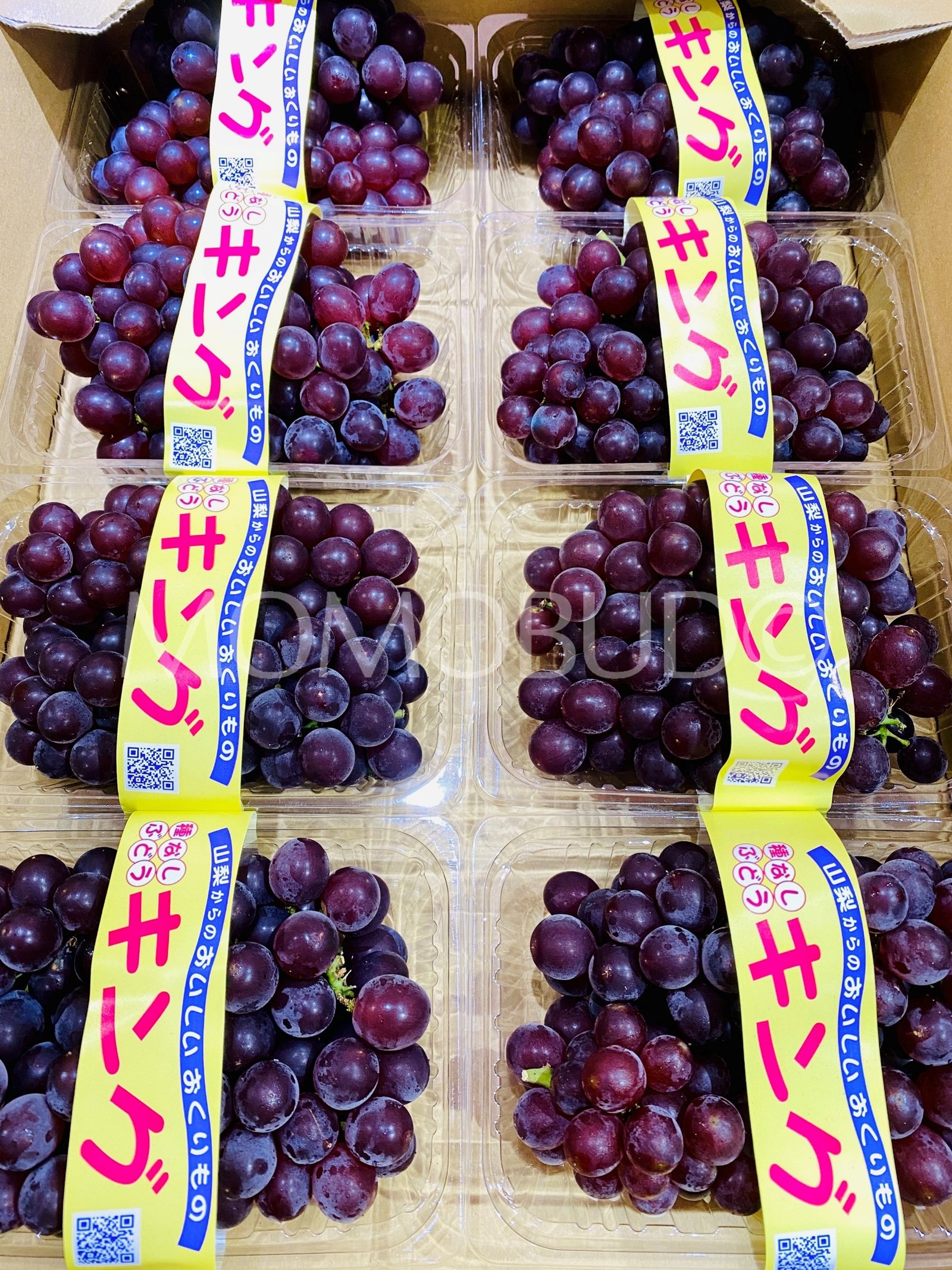 Japanese King Delaware (Champagne) Grapes Pack (2 bunches, 400g approx) - Image 3