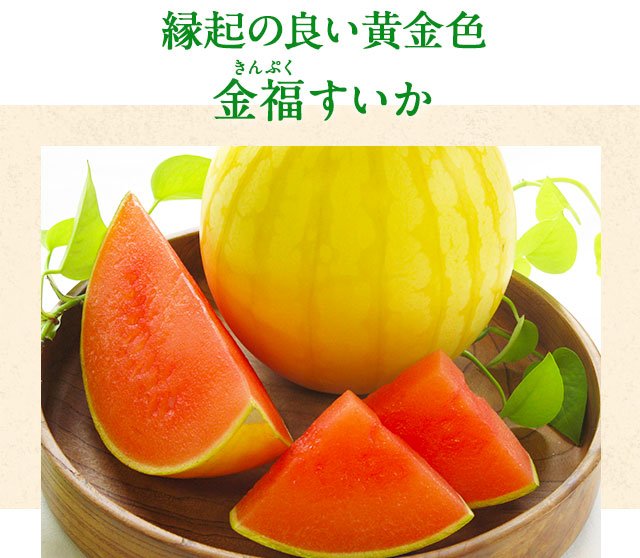 Japanese Kinpuku Golden Watermelon - Image 3