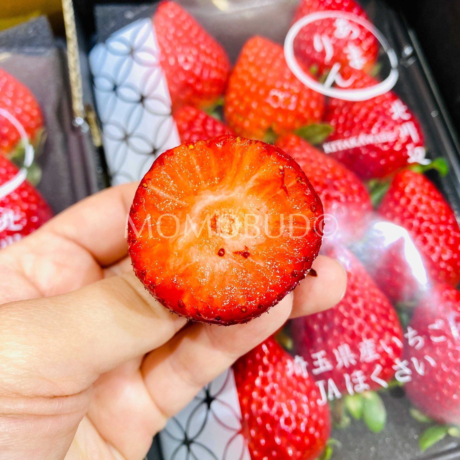 *High Sweetness* Japanese Saitama Amarin Ichigo (Strawberry, 170g pack) - Image 7