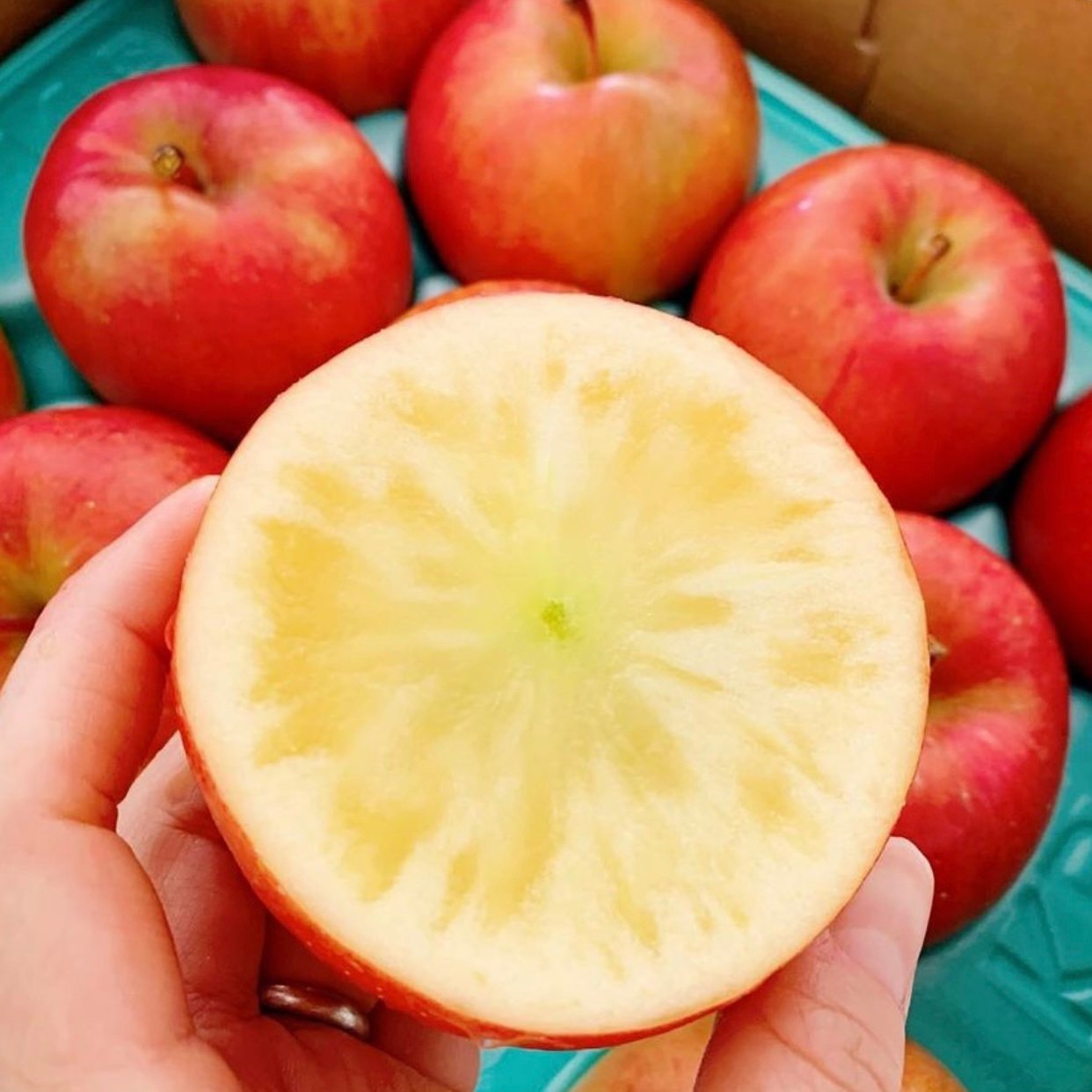 Japanese Premium Komitsu Honey Apple - Image 6