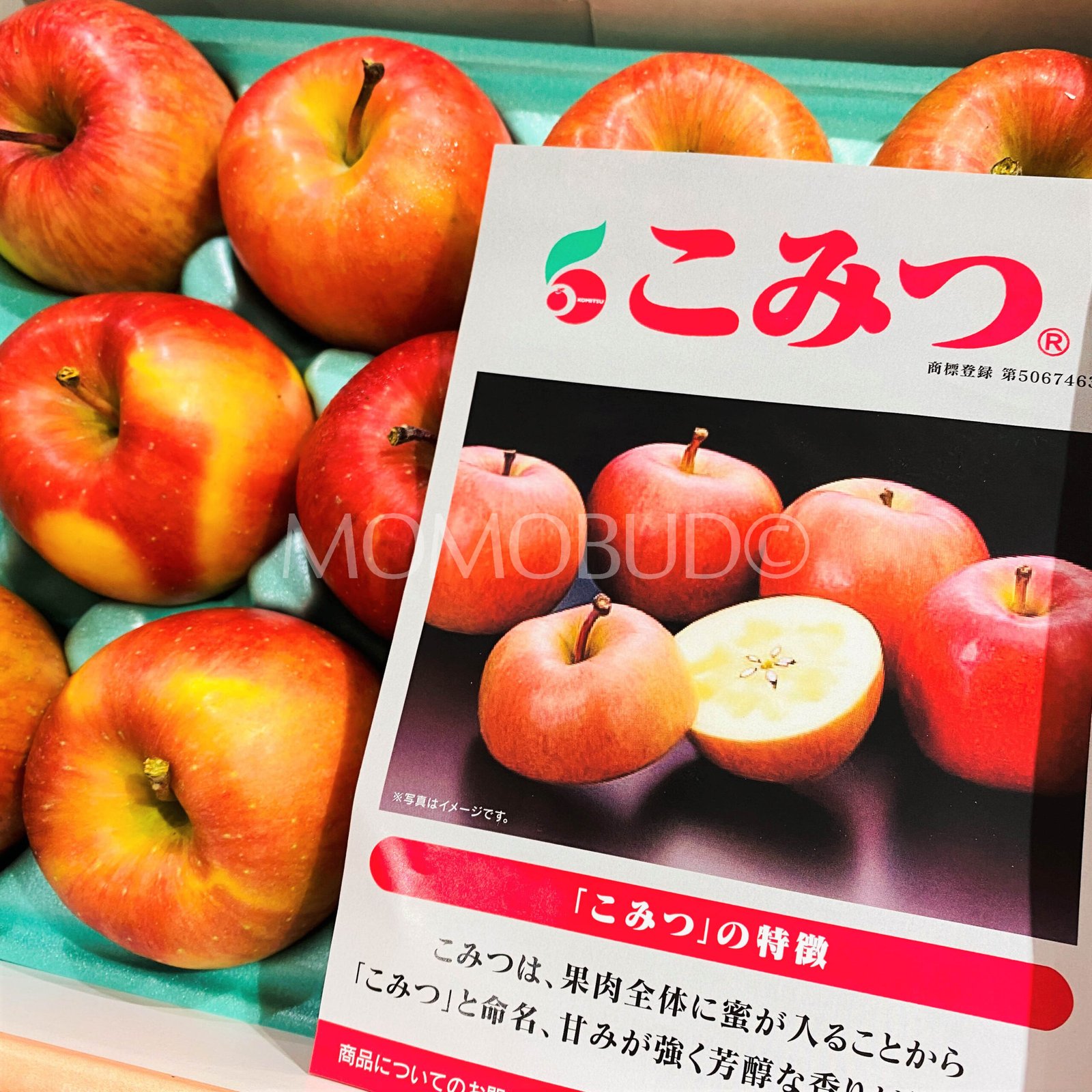 Japanese Premium Komitsu Honey Apple - Image 5