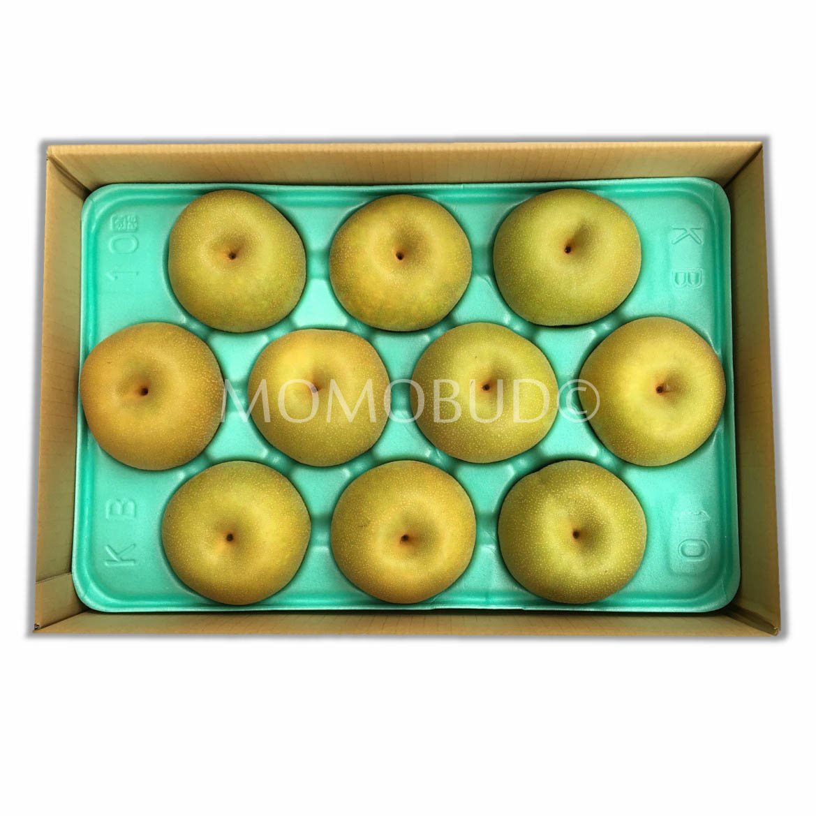 Japanese Kousui Pear (Small-Plus) - Image 2