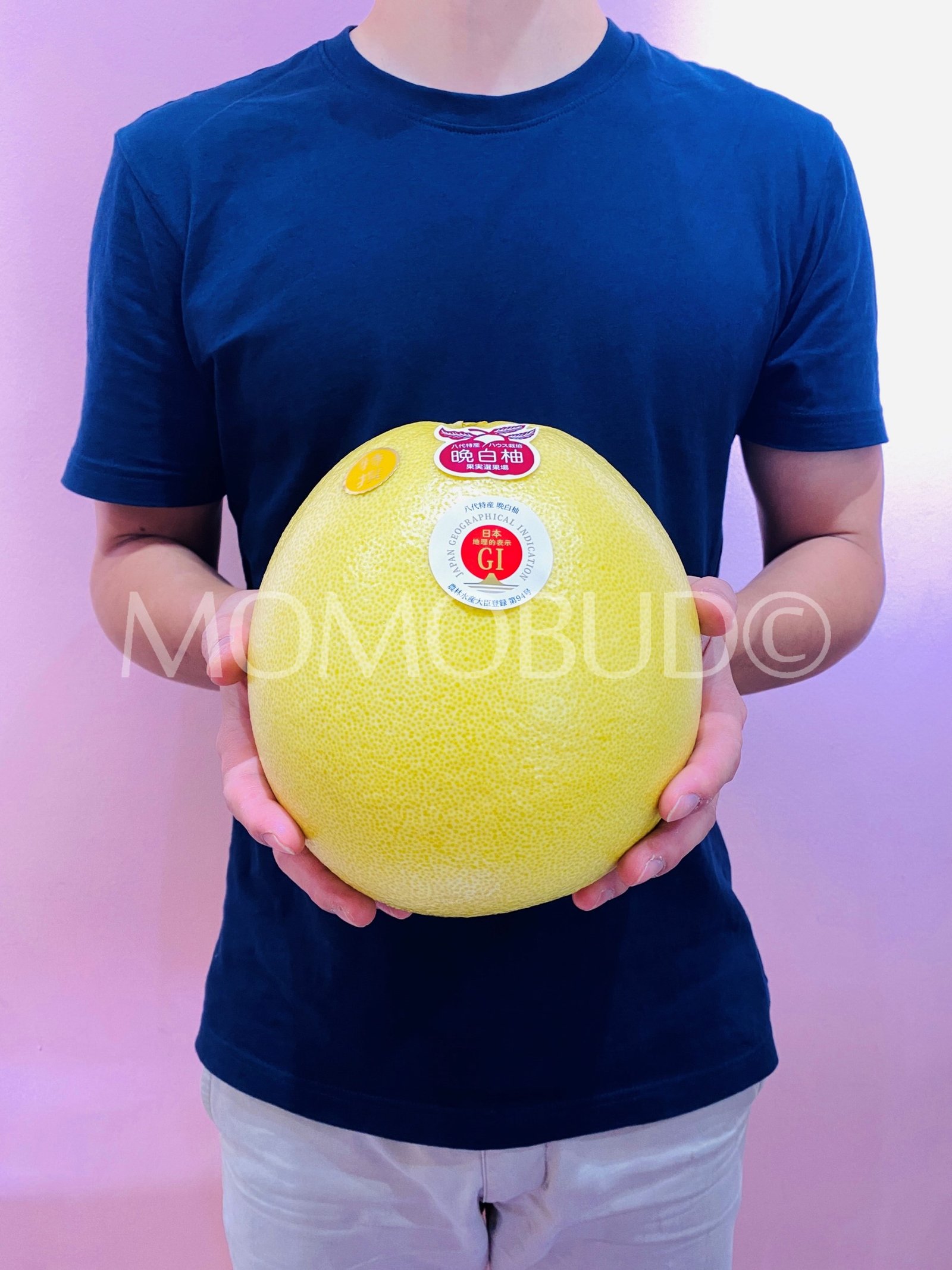 Japanese Kumamoto Banpeiyu (Pomelo, Medium) - Image 3