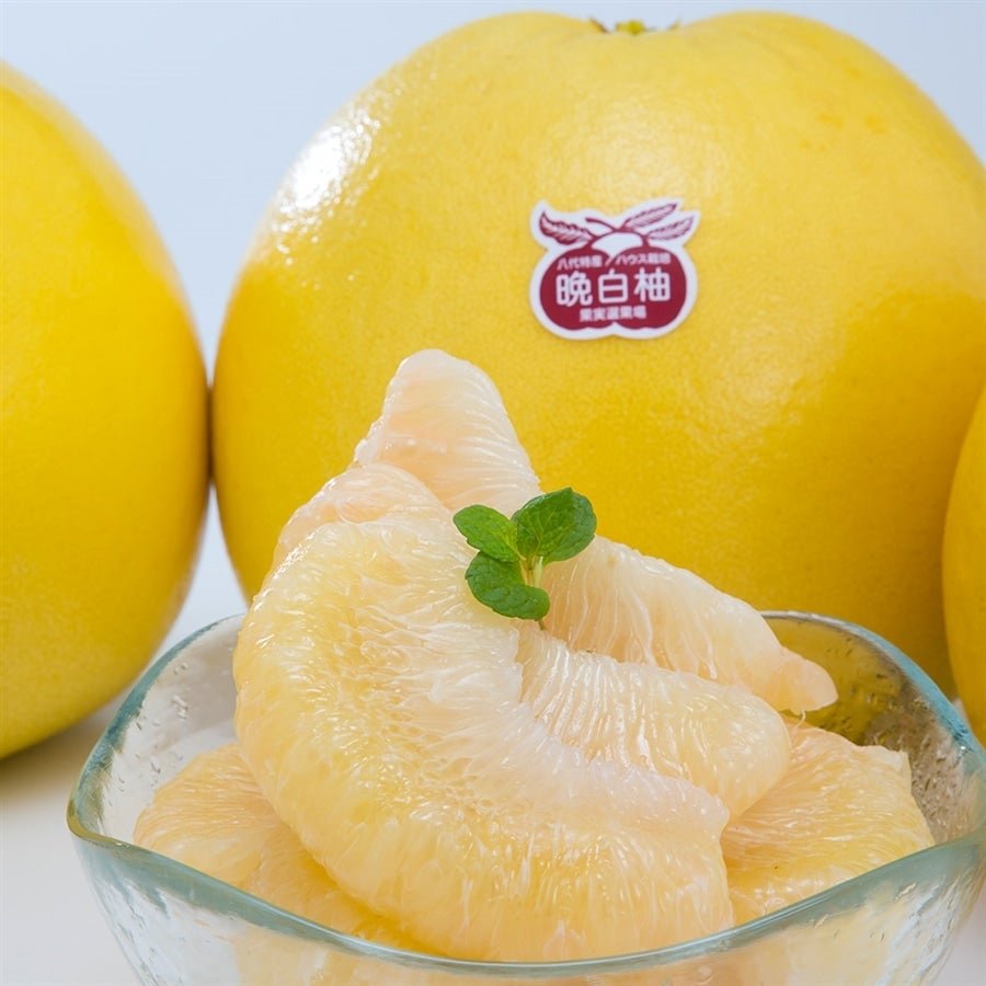 Japanese Kumamoto Banpeiyu (Pomelo, Medium) - Image 4